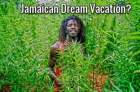 jamtreat cam|Jamaica treats Porn Videos 